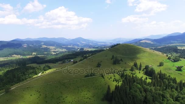 4k. Luchtfoto berglandschap. Vliegen over heuvels met hout in zonnige dag — Stockvideo