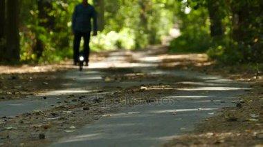  Ağır çekim. Sonbahar ahşap mono tekerlekli sürme, dağılım, adamın ayak yaprakları 