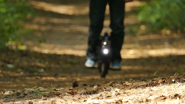 Slow motion. Electrical personal  transport. Riding mono wheel in wood, leaves scatter, flashlight. — Stock Video