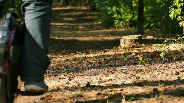 Gerakan lambat. Mengendarai roda mono di musim gugur kayu, daun hamburan, kaki manusia — Stok Video