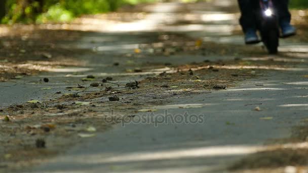 Electrical personal  transport. Slow motion. Riding mono wheel  on autumn park road — Stock Video