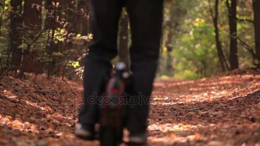  Elektrik kişisel taşıma. Sonbahar güneşli ahşap adam sürme mono tekerlek. Arka vew