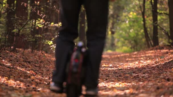 Electrical personal  transport. Man riding mono wheel in autumn sunny wood. Rear vew — Stock Video