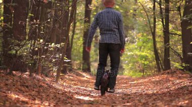 Sonbahar güneşli ahşap adam sürme mono tekerlek. Elektrik kişisel taşıma takım