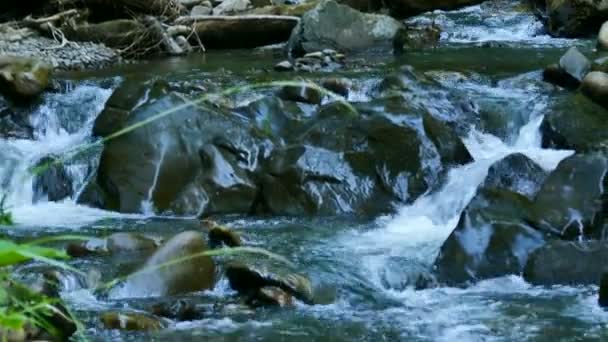 4K.Small Mountain stream em madeira, panorama. Fechar — Vídeo de Stock