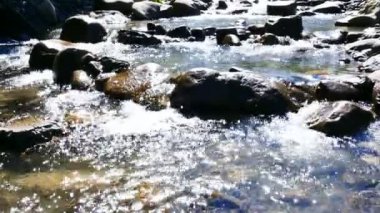 4k. Güneş ışığı yansımaları ile güneşli ahşap akışında. Doğa manzara panorama