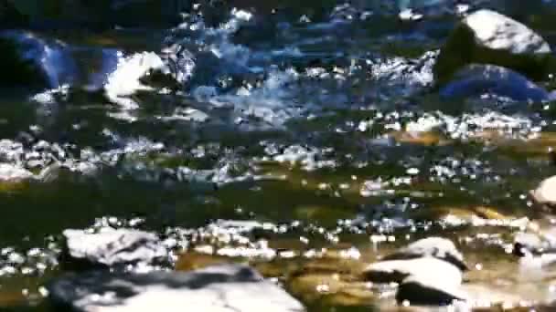Маленький горный ручеек в лесу с водопадом. — стоковое видео