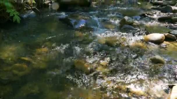 4 k. fjällbäck, flod i trä med vattenfall. Panorama — Stockvideo
