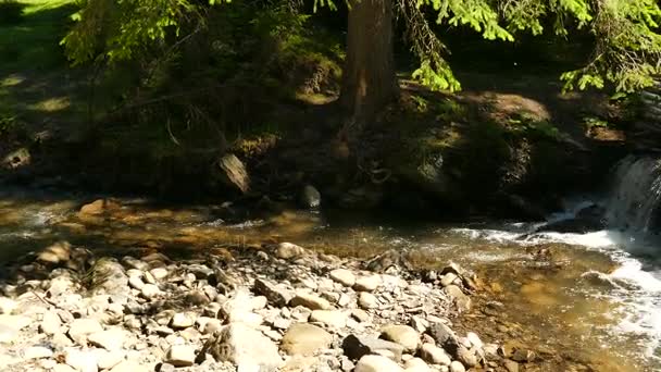 4К. Горный поток с небольшим водопадом. Пейзажная панорама — стоковое видео