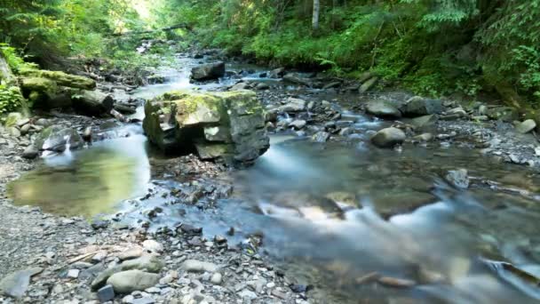 4К. Небольшой ручеек в дереве с камнями. Размытая вода, временной промежуток — стоковое видео