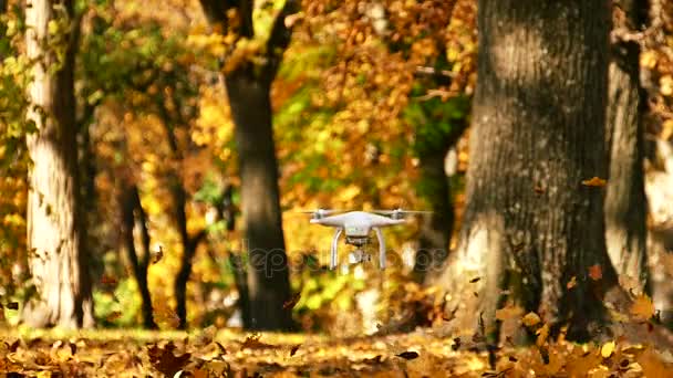 Медленное движение. Летающий дрон поднимает винты осенних листьев в парке. Подход — стоковое видео