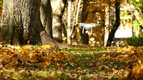 En cámara lenta. Drone moderno levanta tornillos hojas de otoño en el parque . — Vídeo de stock