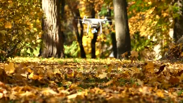 Slow motion. Moderna drone lyfter skruvar höstlöv i park. — Stockvideo