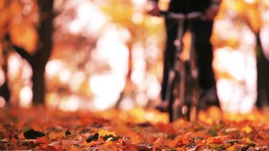 etkinlik, Sonbahar, güzel, Bisiklet, Bisiklet, Bisiklet, fotoğraf makinesi, rahat, beyaz, renk, renk, ülke, kırsal, çift, Bisiklete binme, bisikletçi, egzersiz, Sonbahar, orman, altın, flok, yaprak, eğlence, yaşam tarzı, düşük, dostum, doğa, normal, açık havada, park, 