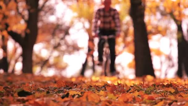Fahrradtour im wunderschönen Herbstpark mit gelben Blättern. männliche Figur — Stockvideo
