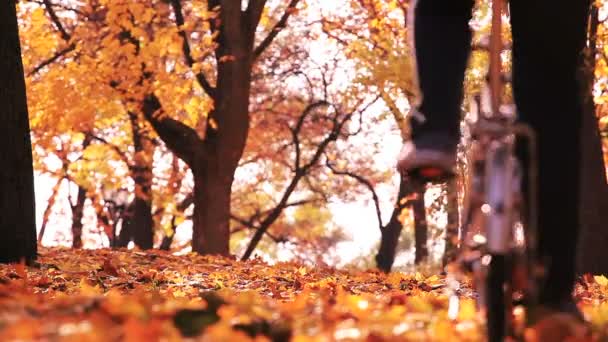 Bicycle slow trip in beautiful autumn park with yellow leaves. Man go afar — Stock Video