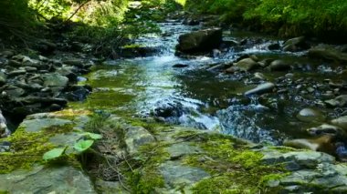 4 k. taş, yeşil yosun kadar yakın ve akış su ahşap. Dolly vurdu