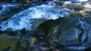 4k. Dere, nehir suyu yaz ahşap taşlı