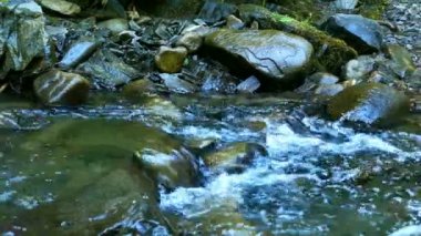 4k. Dere, nehir suyu yaz ahşap taşlı. Dolly vurdu