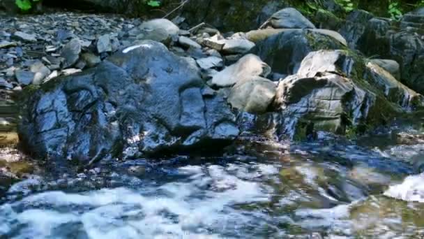 4K.Stream, eau de rivière en bois d'été avec pierre . 