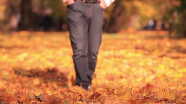 Adam Yavaş Yavaş Yürümek Sarı Ağaçları Ile Sonbahar Park — Stok video