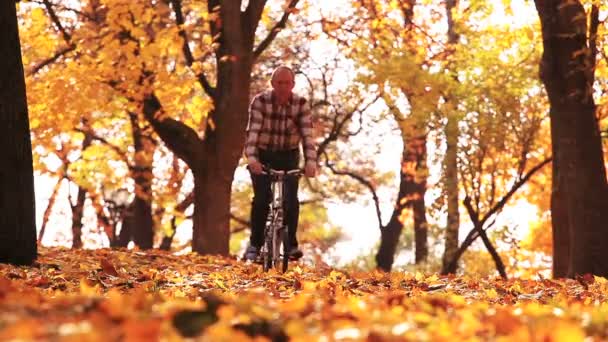 人骑自行车在美丽的秋天公园以黄色叶子 — 图库视频影像