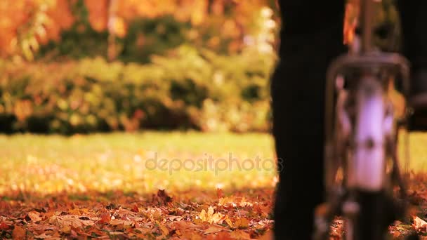 人骑自行车在 秋天公园用草和灌木 — 图库视频影像