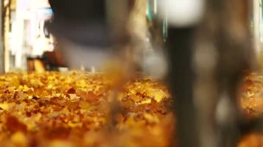 Ağır çekim. Bisiklet sarı yaprakları ile güzel sonbahar Park