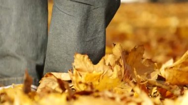 Yavaş kavramı. Sarı ağaçları arasında yürüyen adam. Sonbahar takım