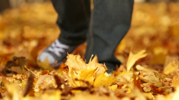 Notion Lente Homme Marchant Parmi Les Arbres Jaunes Équipe Automne — Video