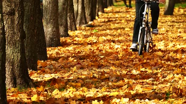 慢动作秋天公园的自行车骑着黄树叶 — 图库视频影像