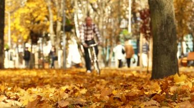 Ağır çekim. Adam Bisiklet sonbahar Şehir Parkı içinde. Sağlıklı yaşam