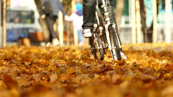 Slow Motion Tijd Van Fiets Herfst Stadspark Silhouet Van Mensen — Stockvideo