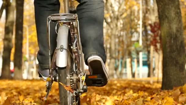 Slow Motion Man Bicycle Autumn City Park Healthy Life — Stock Video