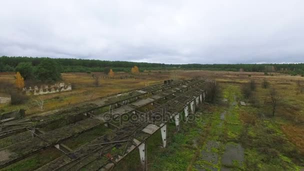 Aerial Destroyed Cowhouse Structures Chernobyl Area — Stock Video