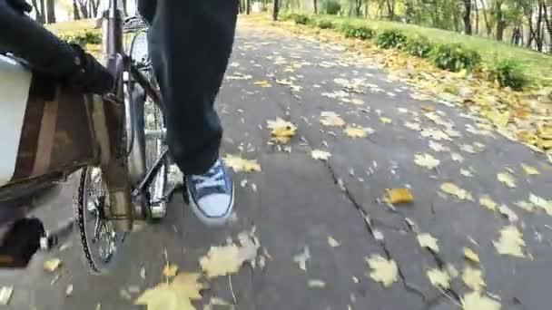 카메라 촬영의 포인트입니다 자전거 공원에서 노란색 단풍가 Outlook을 — 비디오