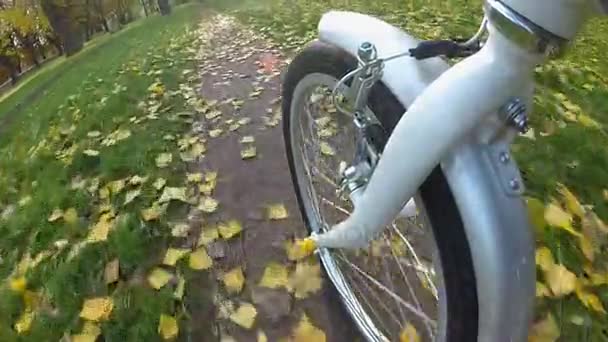 相机拍摄的观点 秋季城市公园用黄叶骑自行车车轮 — 图库视频影像