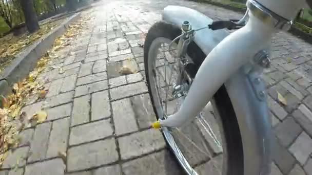 相机拍摄的观点 自行车轮子在秋天晴朗的城市公园乘坐 — 图库视频影像