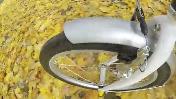 自行车轮子在秋天的城市公园乘坐 视点摄像机拍摄 — 图库视频影像