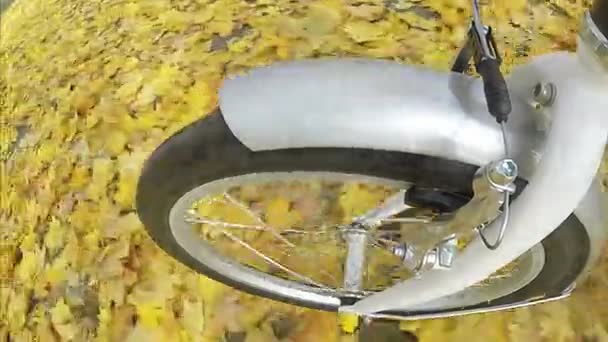 Wiel Van Fiets Rijdt Herfst Stadspark Punt Van Het Weergave — Stockvideo