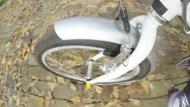 Homem Anda Bicicleta Parque Cidade Outono Ponto Vista Filmagem Câmera — Vídeo de Stock