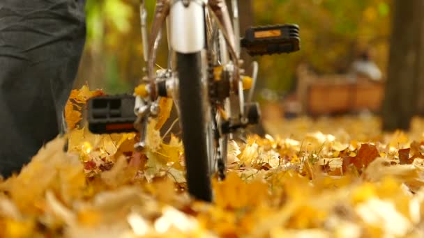 Ember Megy Kerékpár Ősszel Central Park — Stock videók