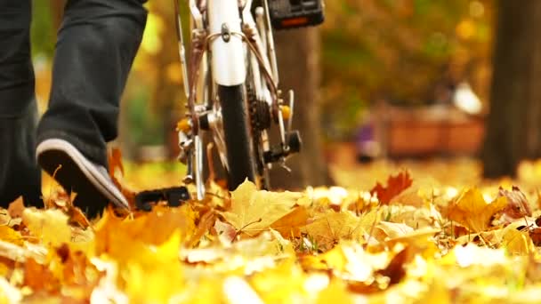 Mann Fährt Mit Fahrrad Den Herbstmittelpark Beine — Stockvideo