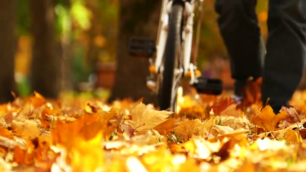 Mann Fährt Mit Fahrrad Den Herbstmittelpark Beine — Stockvideo