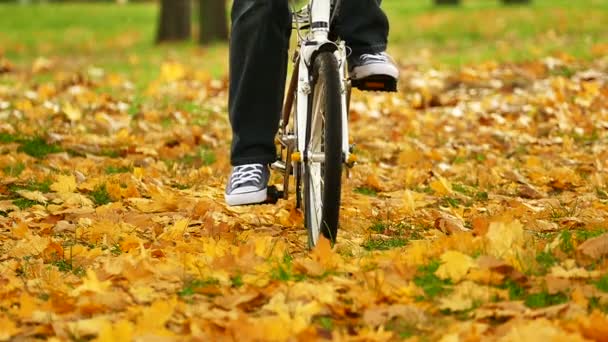 人在秋天中央公园去与自行车 — 图库视频影像