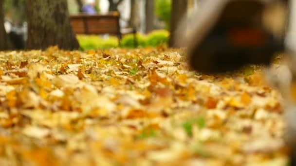 Человек Современном Велосипеде Осенью Центральный Парк — стоковое видео