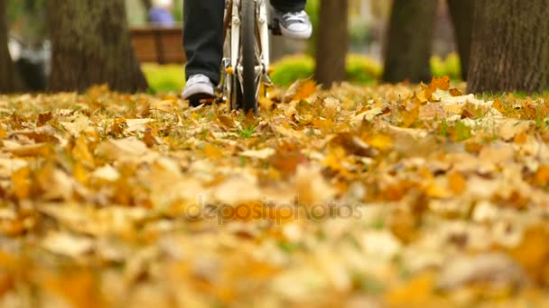 Mann Auf Modernem Fahrrad Herbst Central Park — Stockvideo