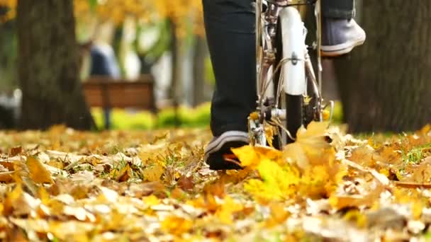 Mannen Moderna Små Cykel Hösten Central Park Bänk — Stockvideo