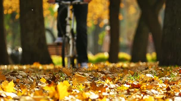 Man Modern Small Bicycle Autumn Central Park Bench Blurred People — Stock Video