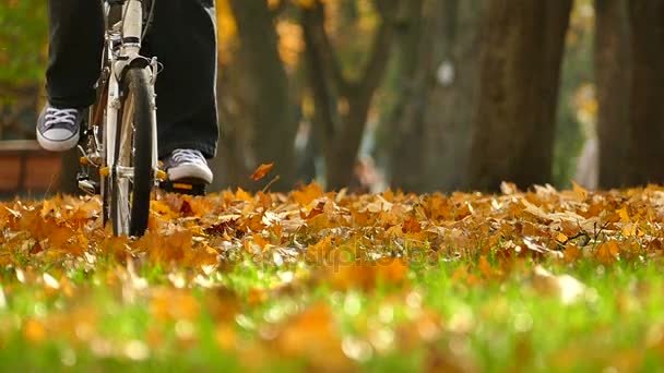 Homme Sur Petit Vélo Moderne Automne Central Park Herbe Verte — Video